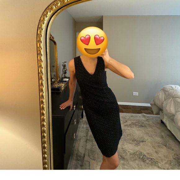 Ann Taylor | Stretch Tweed Sleeveless Dress | Size: 2P - Picture 4 of 5